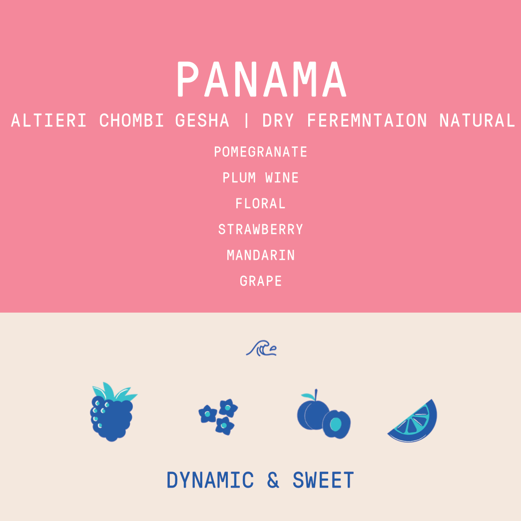 Panama - Altieri Chombi Geisha | Dry Fermentation Cold Natural - 100g - Archived