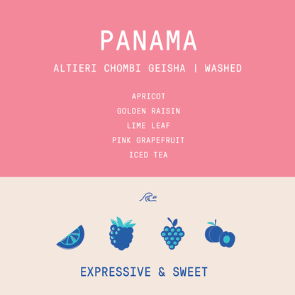 Panama - Altieri Chombi Geisha | Fermented Washed - 100g