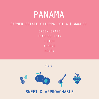 Panama - Carmen Estate Caturra Lot 4 | Washed