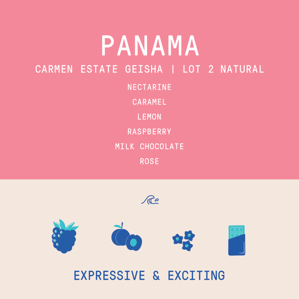 Panama - Carmen Estate Geisha Lot 2 | Natural - 100g