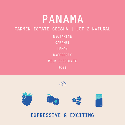 Panama - Carmen Estate Geisha Lot 2 | Natural - 100g
