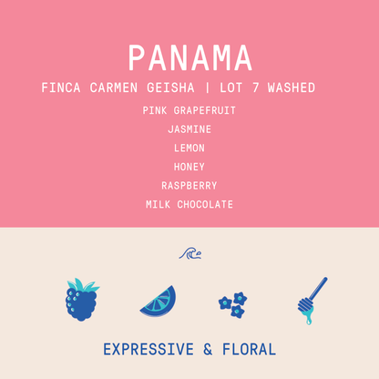 Panama - Carmen Estate Geisha Lot 6 | Washed - 100g - Archived