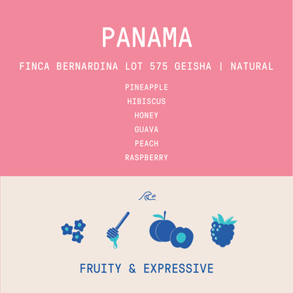 Panama - Finca Bernardina Geisha Lot 575 | Natural - 100g