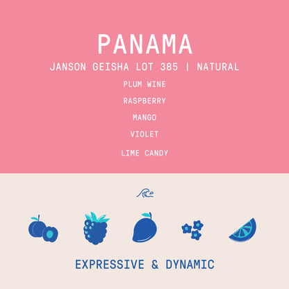 Panama - Janson Geisha Lot 385 | Natural - 100g