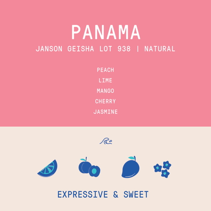 Panama - Janson Geisha Lot 938 | Natural - 100g