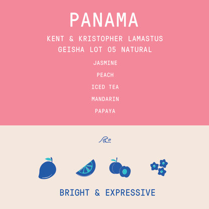 Panama - Kent and Kristopher Lamastus - Geisha Lot 05 | Natural - 100g - Archived