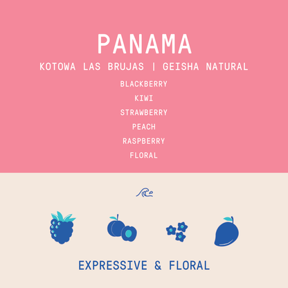 Panama - Kotowa Las Brujas Lot 2002-T3 | Geisha Natural - 100g