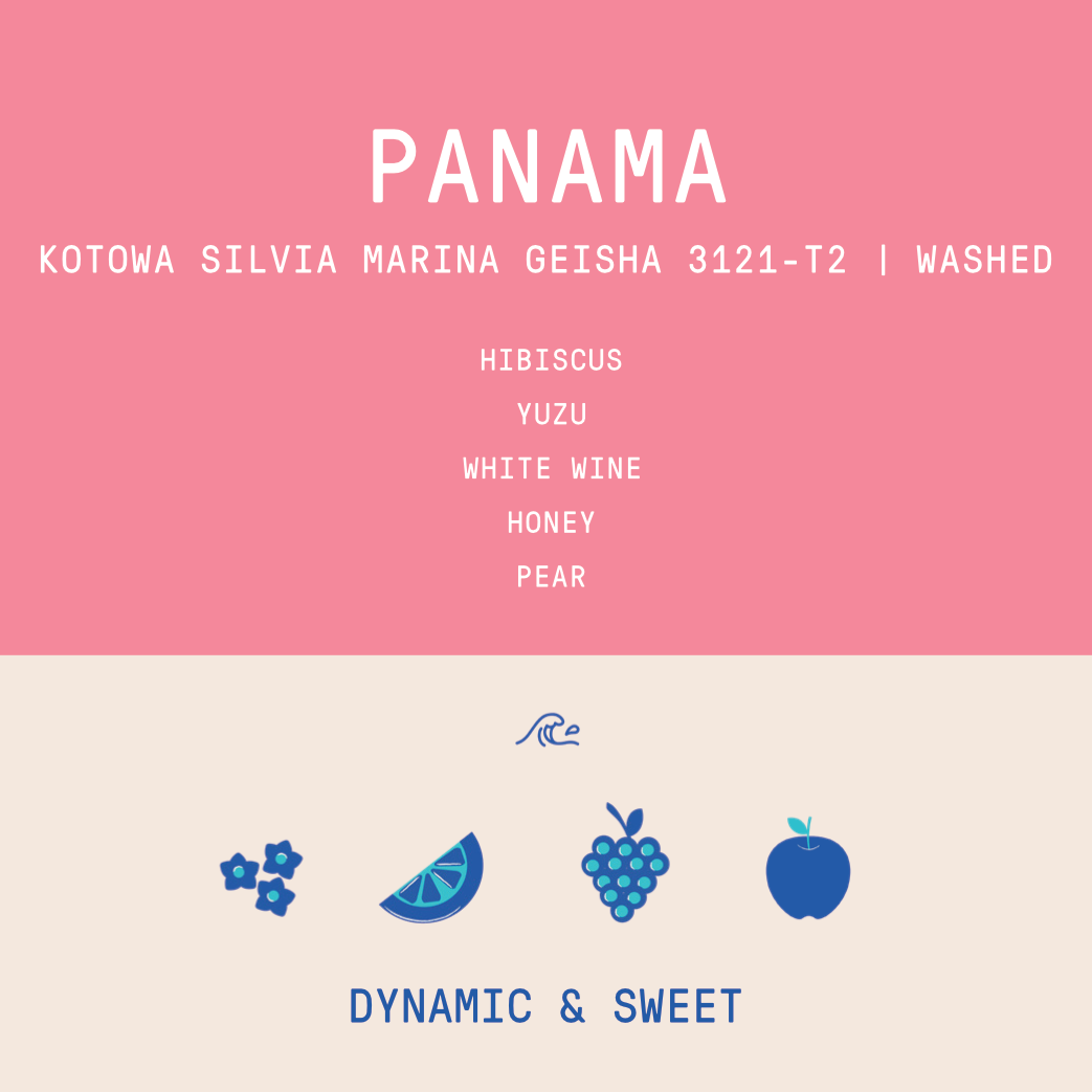 Panama - Silvia Marina Lot 3121-T2 | Geisha Washed - 100g