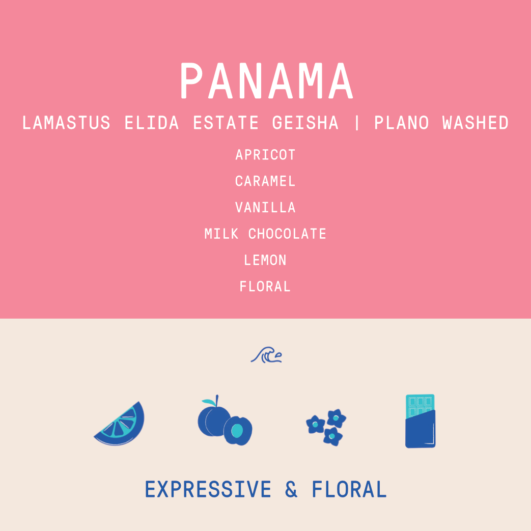 Panama - Lamastus Elida Estate Plano | Geisha Washed - 100g - Archived