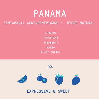 Panama - Santamaria Estate Centroamericano | Hydro Natural - 100g