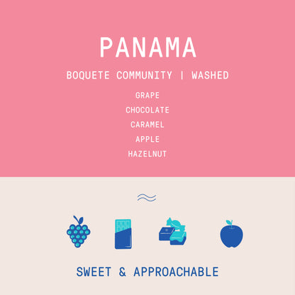 Panama - Boquete | Washed