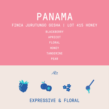 Panama - Finca Jurutungo Gesha  | Lot 415  Honey - 100g - Archived