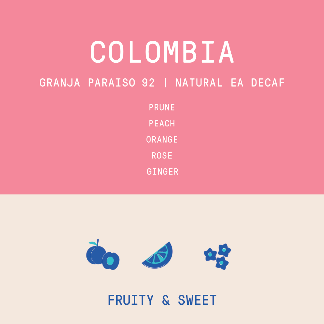 Colombia - Granja Paraiso 92 | Natural EA DECAF Red Bourbon