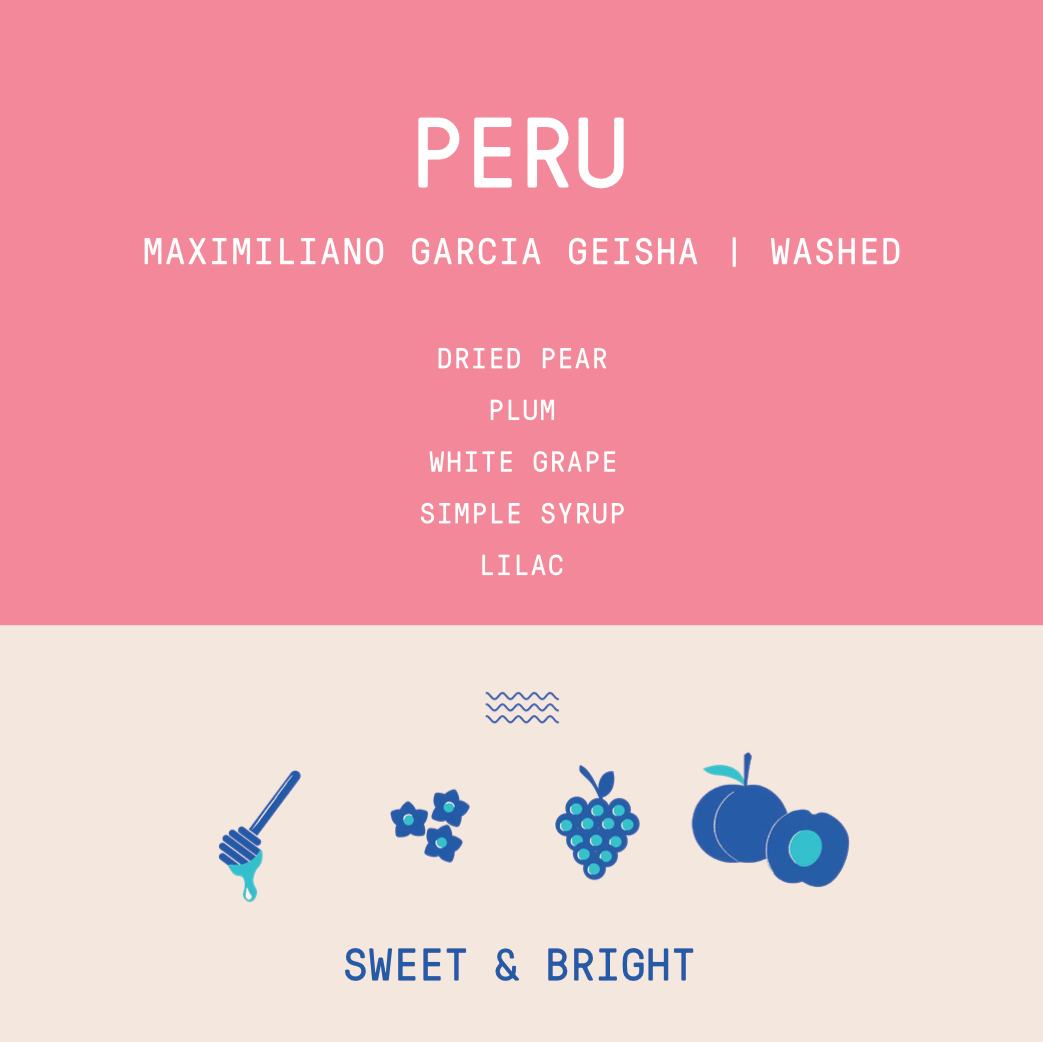 Peru - Garmas Maximiliano Garcia | Geisha Washed