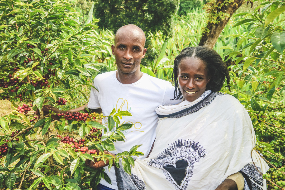 Ethiopia - Qabballe Raro Nensebo | Natural