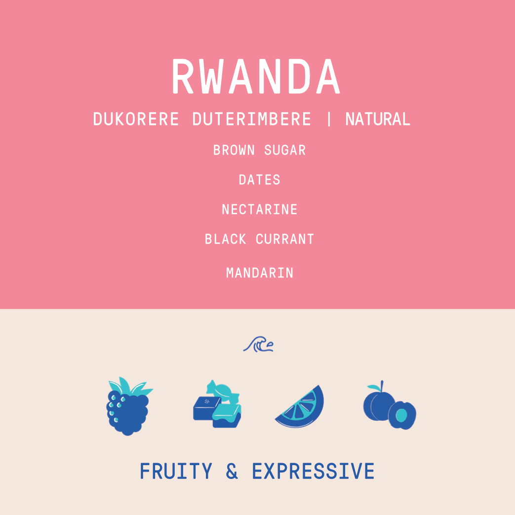 Rwanda - Dukorere Duterimbere Lot 33 | Natural