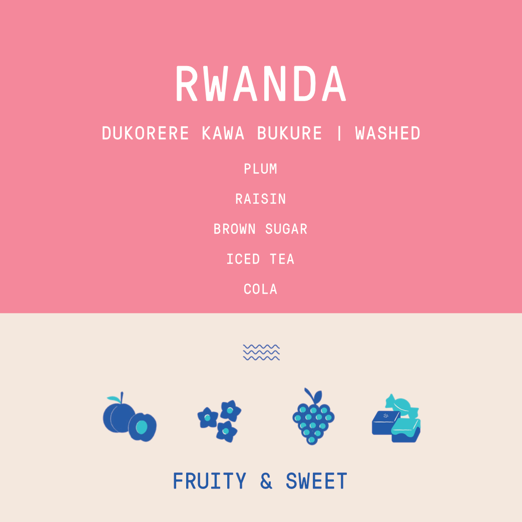 Rwanda - Dukorere Kawa Bukure Lot 5 | Washed
