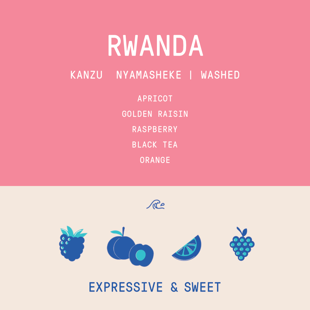 Rwanda - Kanzu Lot 46  | Washed