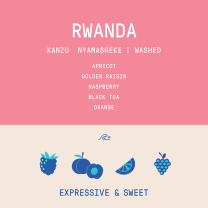 Rwanda - Kanzu Lot 46  | Washed