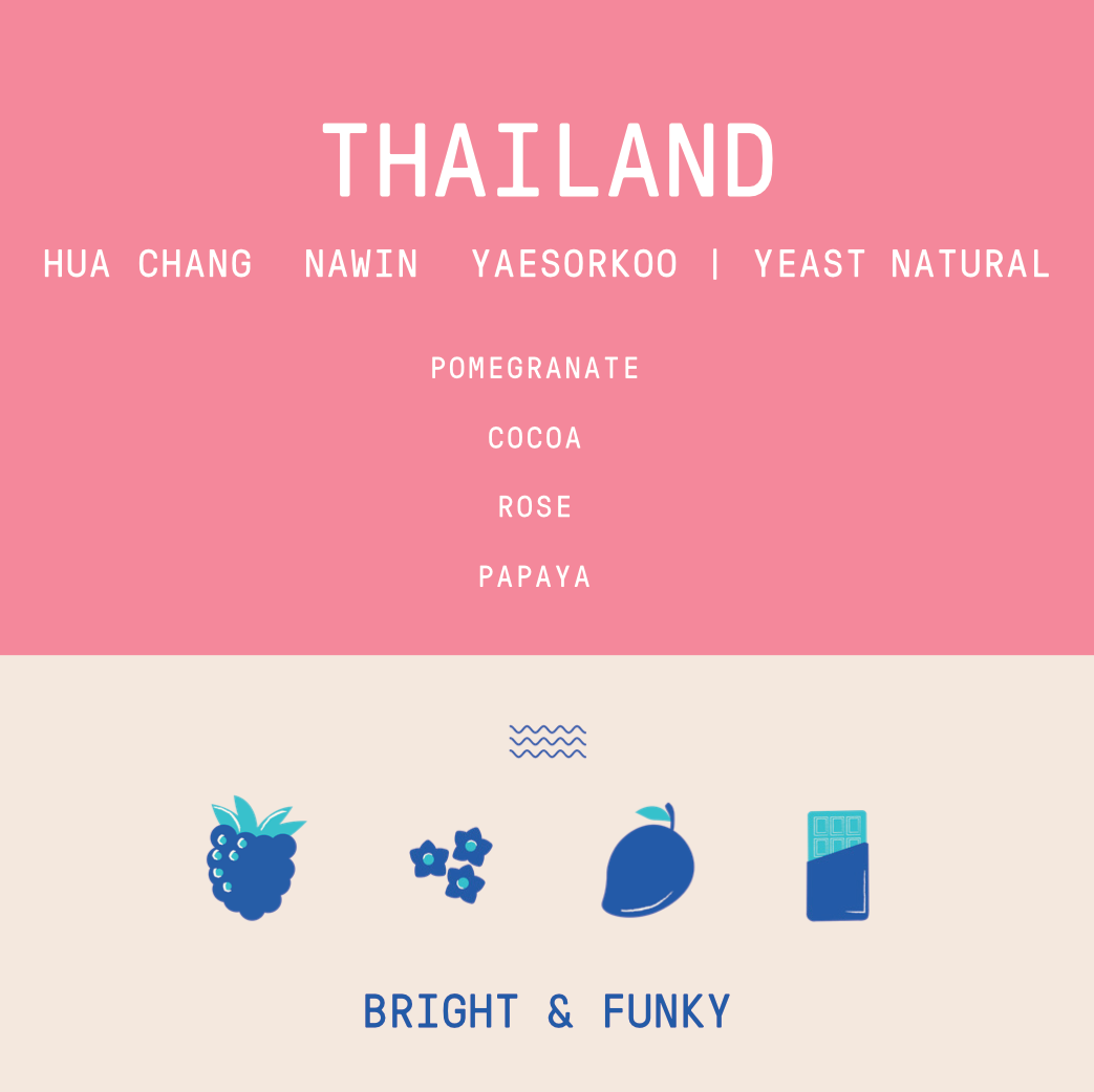 Thailand - Hua Chang - Nawin Yaesorkoo | Yeast Natural - 250g - Archived