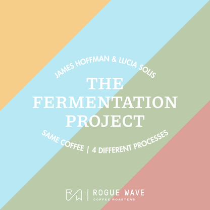 [PRE-ORDER] James Hoffmann & Lucia Solis - The Fermentation Project Tasting Kit - 4x 100g bags