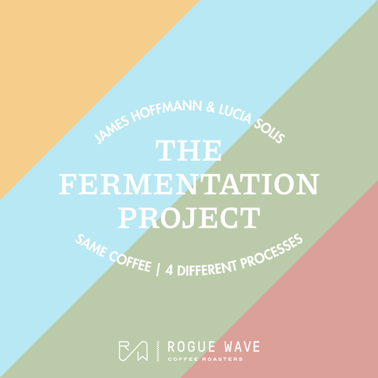 [PRE-ORDER] James Hoffmann & Lucia Solis - The Fermentation Project Tasting Kit - 4x 100g bags
