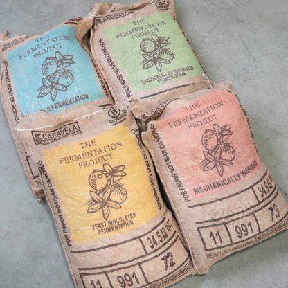[PRE-ORDER] James Hoffmann & Lucia Solis - The Fermentation Project Tasting Kit - 4x 100g bags