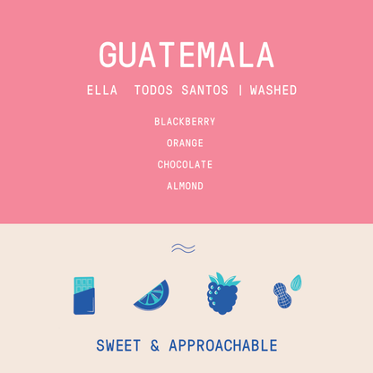 Guatemala - Ella Todos Santos | Washed