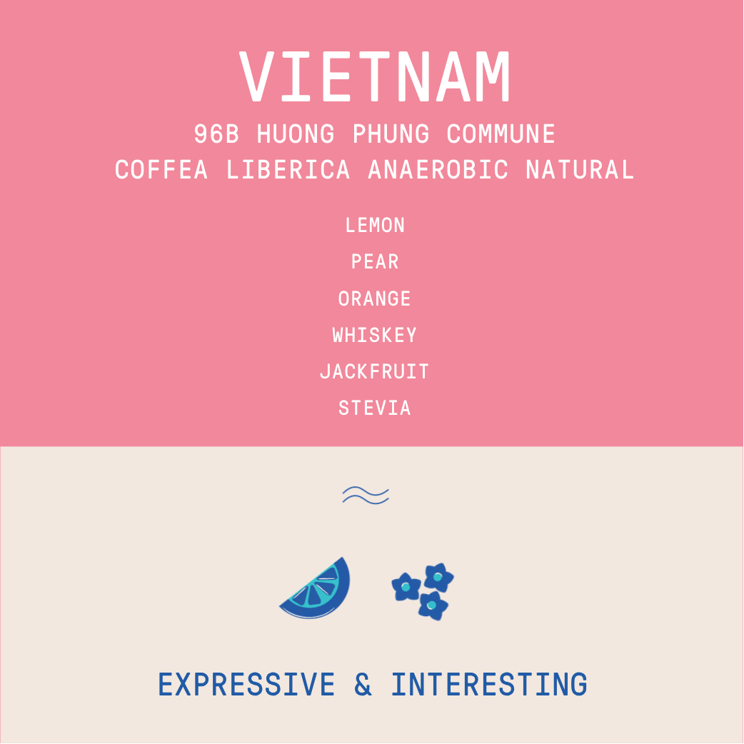 Vietnam - 96B Huong Phung Commune Liberica | Anaerobic Natural - 200g