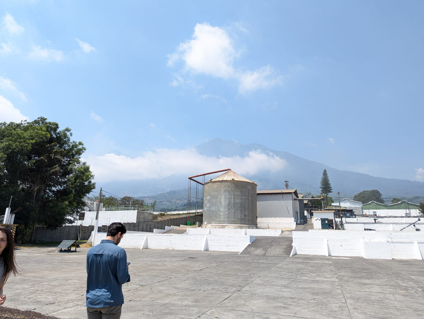 Guatemala - La Union Acetenango | Washed