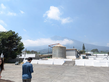 Guatemala - La Union Acetenango | Washed