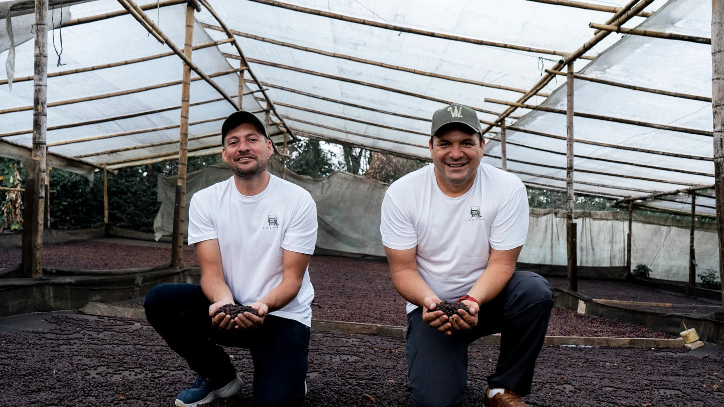 Colombia - Finca Bella Alejandria Wilder Lazo | Geisha Natural 300 hour