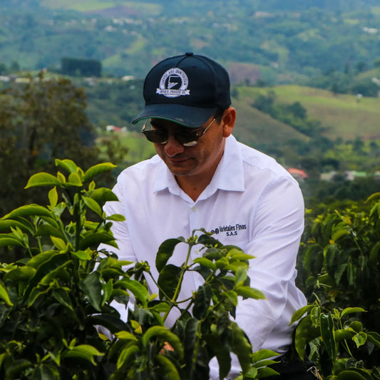 Coffee Lecture and Cupping Session with Wilton Benitez of Granja Paraiso 92 - April 28 4-6PM