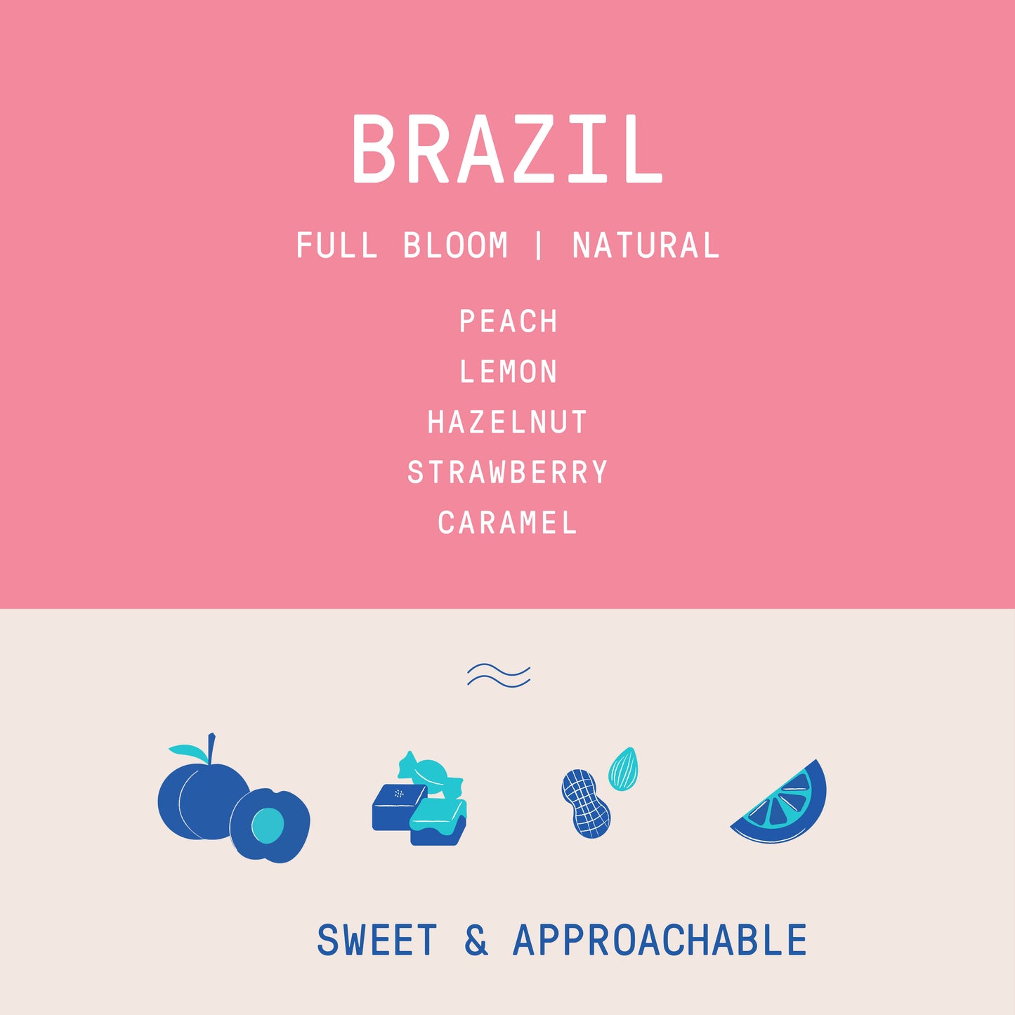 Brazil - Daterra Full Bloom | Natural