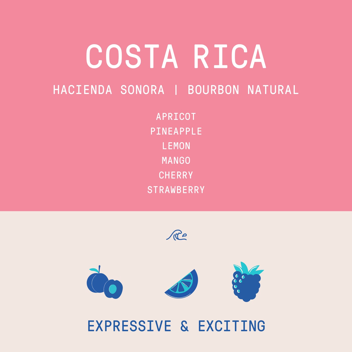 Costa Rica - Hacienda Sonora | Bourbon Natural - 150g - Archived