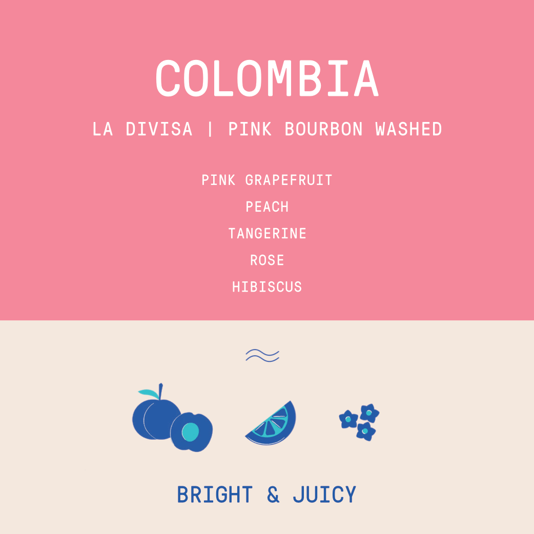 Details and tasting notes for Colombia La Divisa Pink Bourbon Washed