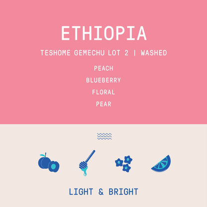 Ethiopia - Teshome Gemechu  Lot 2 | Washed - Archived