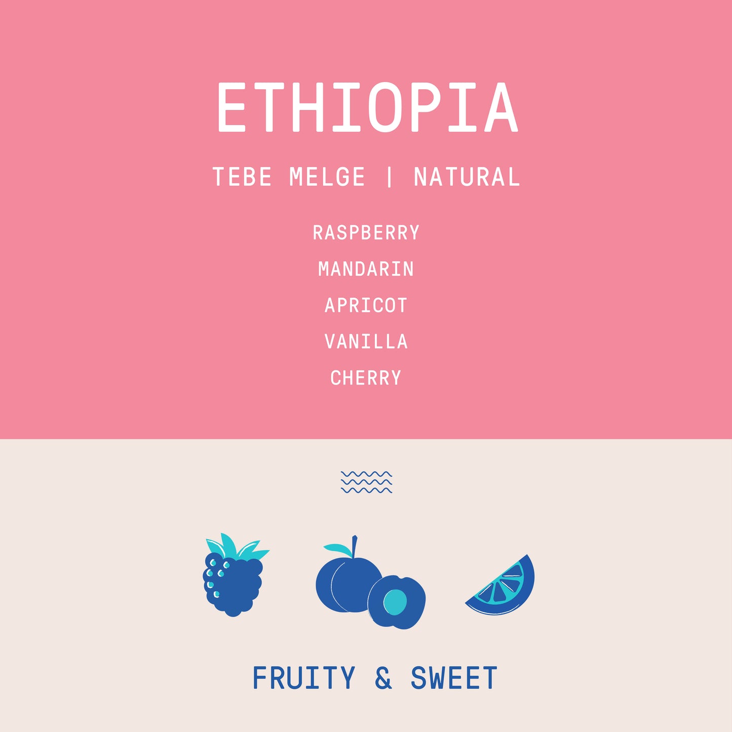 Ethiopia - Tebe Melge | Natural - Archived