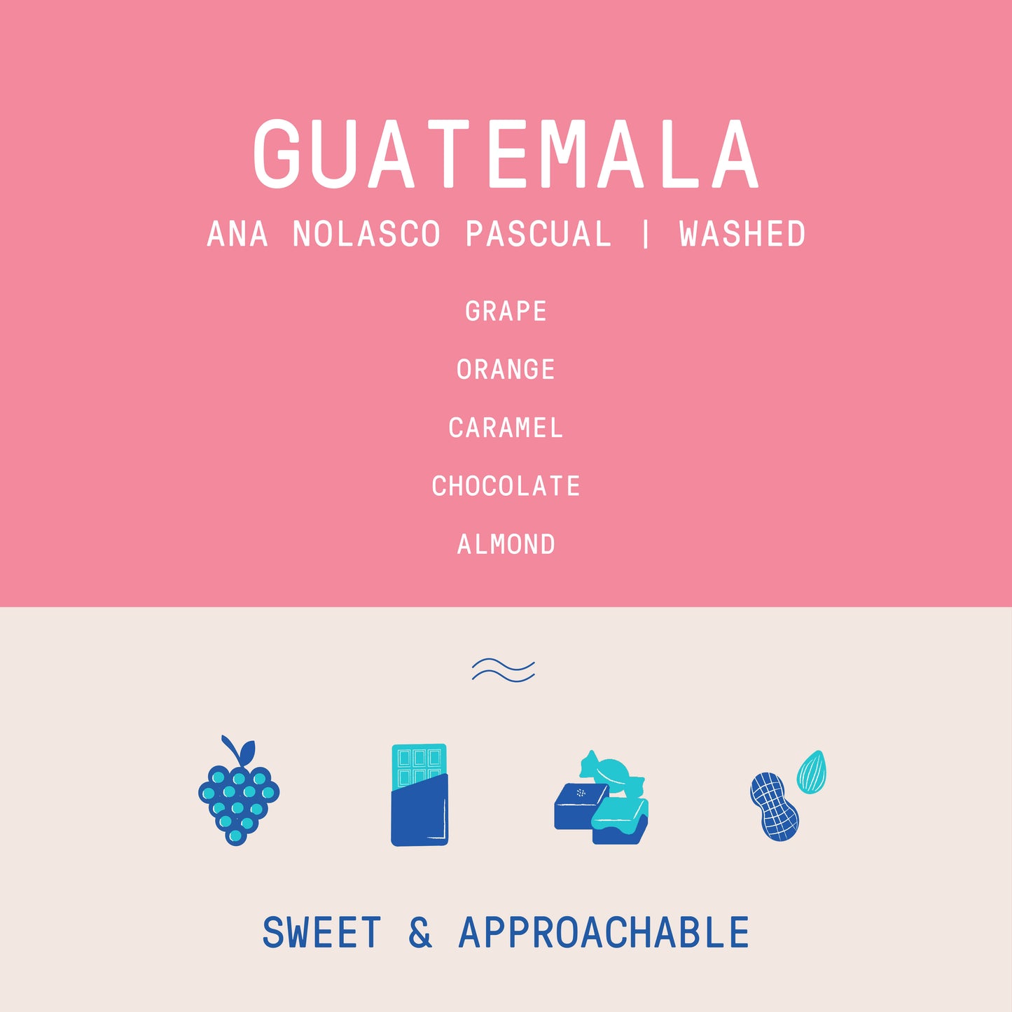 Guatemala - Ana Nolasco Pascual | Washed - Archived