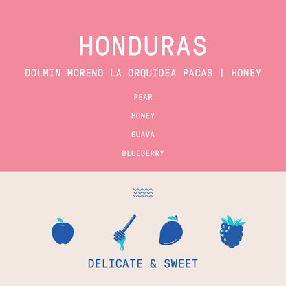 Honduras - Dolmin Moreno - La Orquidea Pacas | Honey - Archived