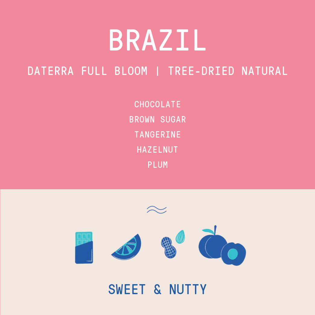 Brazil Daterra Coffee Info Photo