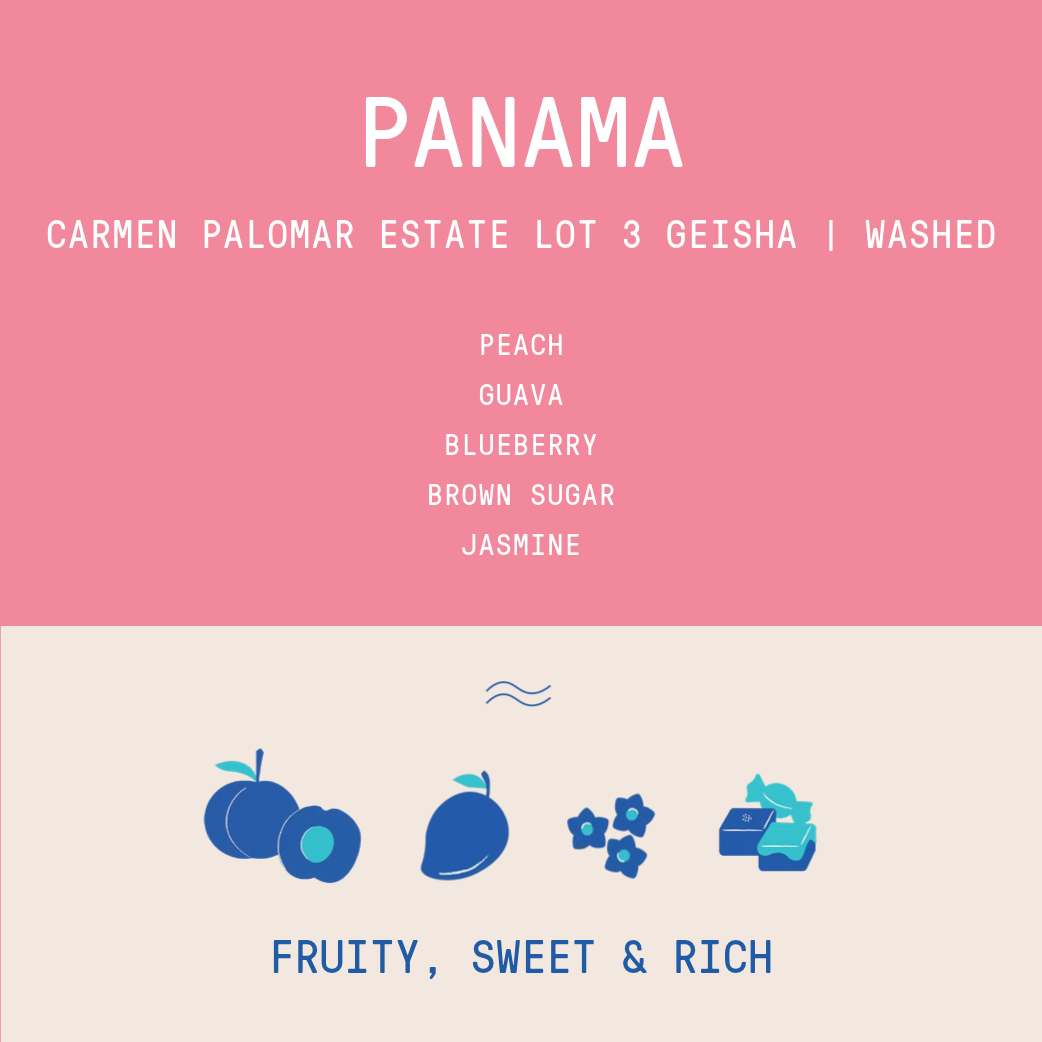Panama - Carmen Palomar Estate Lot 3 Geisha | Washed - 100g