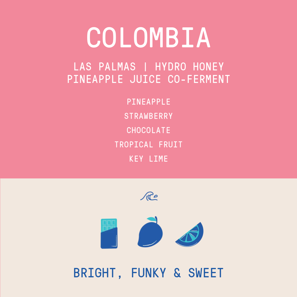 Colombia Las Palmas | Hydro Honey Pineapple Juice Co-Ferment / Notes of pineapple, strawberry, chocolate, tropical fruit, key lime / Tastes bright, funky & sweet