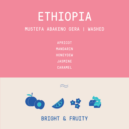 Ethiopia - Mustefa Abakeno Gera | Washed