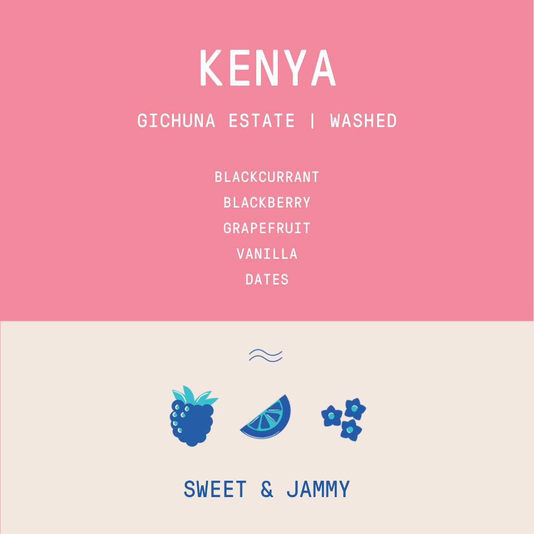 Kenya Gichuna Estate Washed Coffee Details