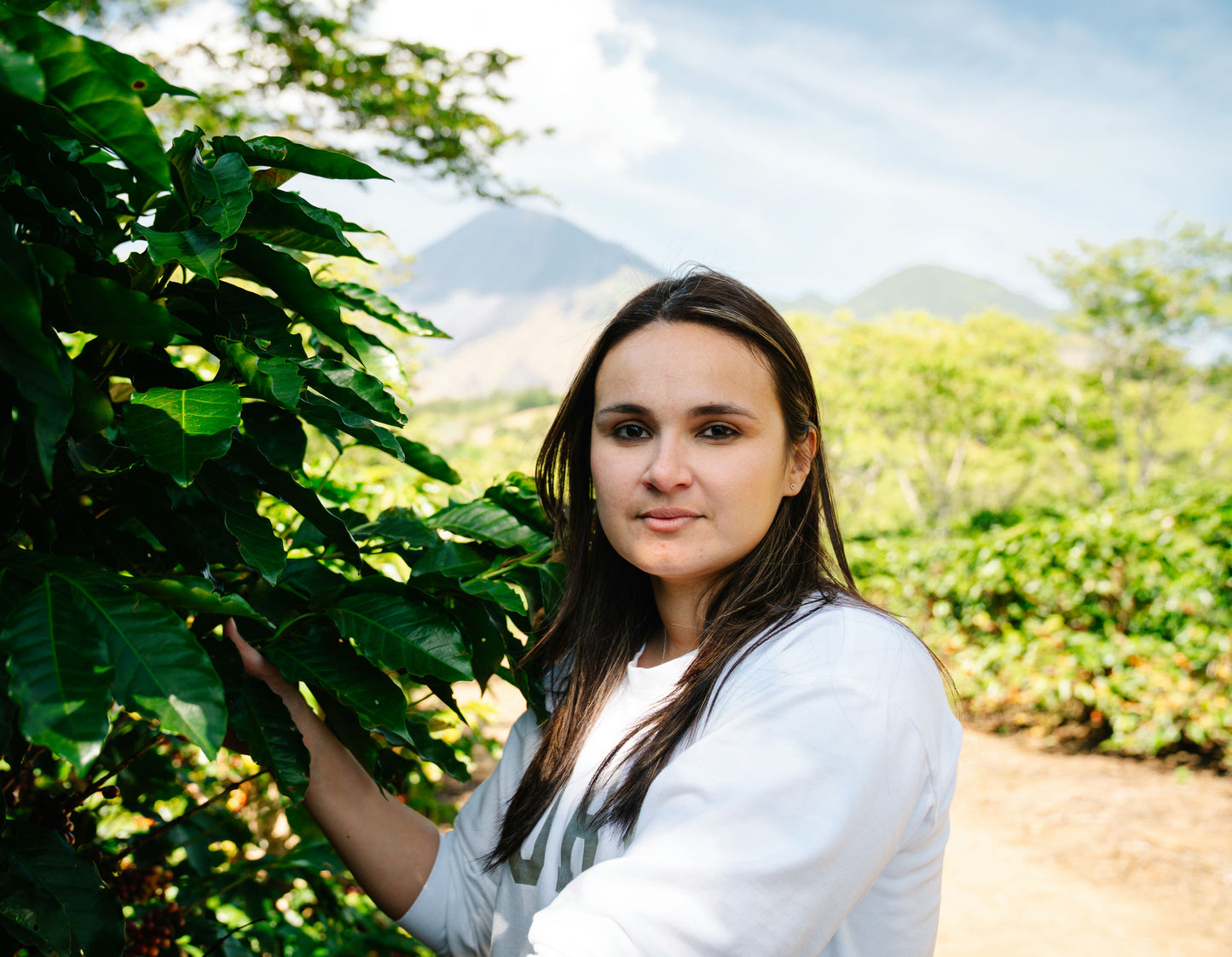 Guatemala - ELLA Women Producers | Washed